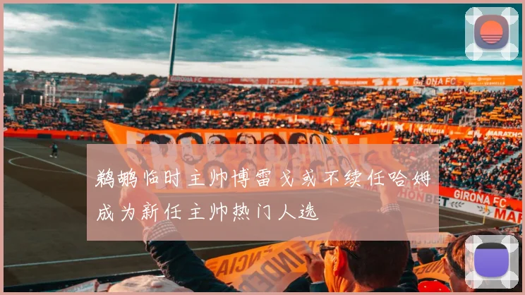 鹈鹕临时主帅博雷戈或不续任哈姆成为新任主帅热门人选