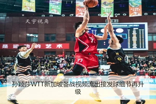 孙颖莎WTT新加坡备战视频流出接发球细节再升级